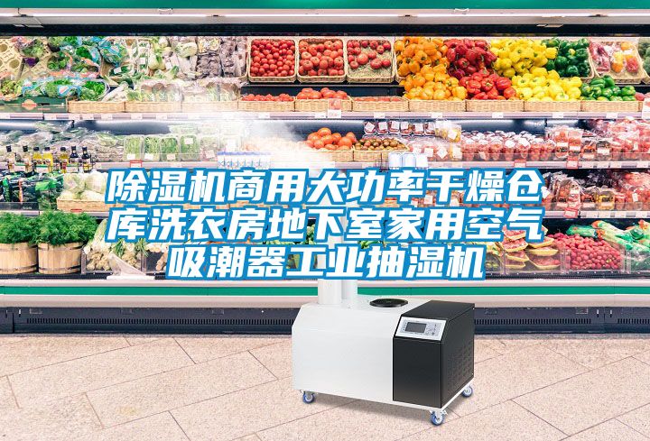 除湿机商用大功率干燥仓库洗衣房地下室家用空气吸潮器工业抽湿机