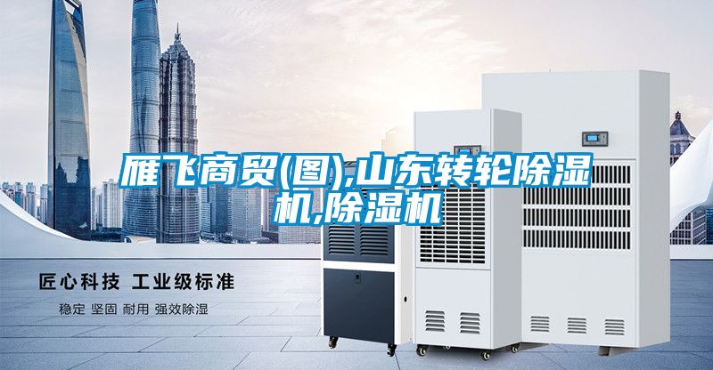 雁飞商贸(图),山东转轮除湿机,除湿机