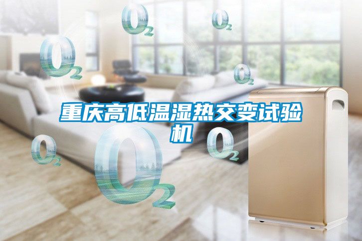 重庆高低温湿热交变试验机