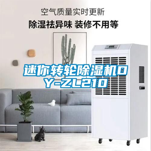 迷你转轮除湿机DY-ZL210