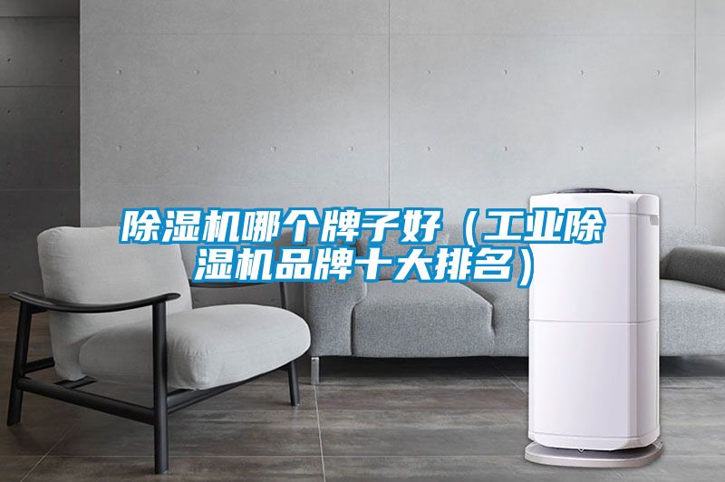 除湿机哪个牌子好（工业除湿机品牌十大排名）