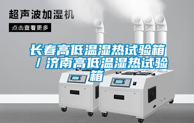 长春高低温湿热试验箱／济南高低温湿热试验箱