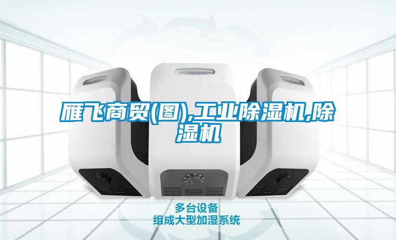 雁飞商贸(图),工业除湿机,除湿机