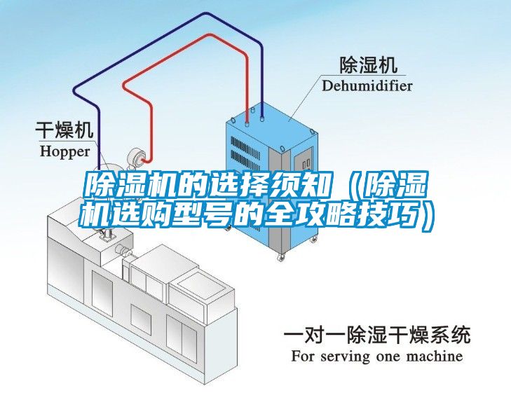 除湿机的选择须知（除湿机选购型号的全攻略技巧）