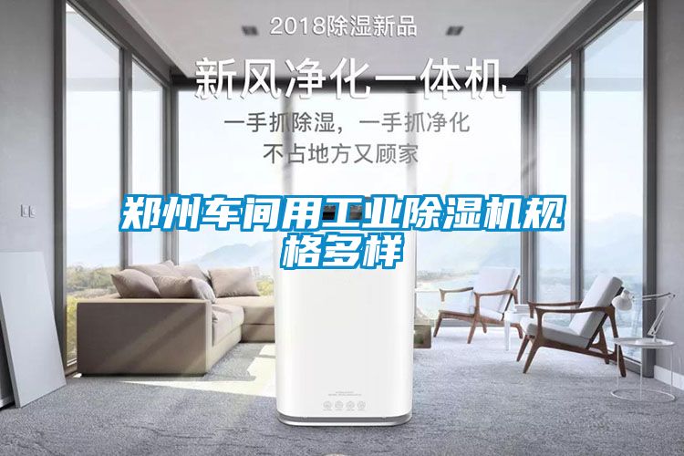 郑州车间用工业除湿机规格多样