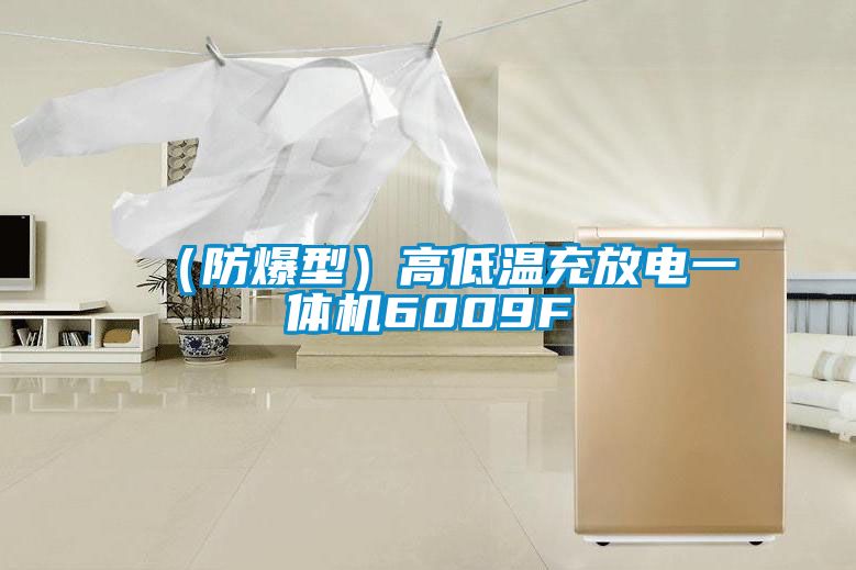 （防爆型）高低温充放电一体机6009F
