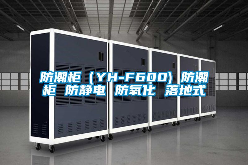 防潮柜（YH-F600) 防潮柜 防静电 防氧化 落地式