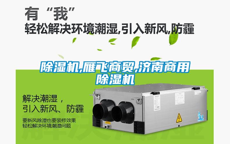 除湿机,雁飞商贸,济南商用除湿机