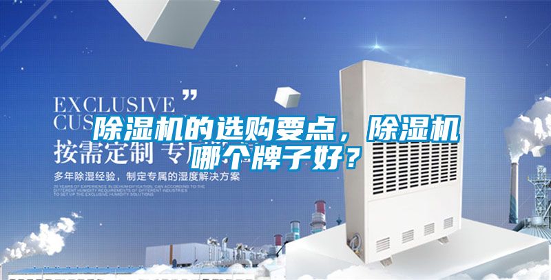 除湿机的选购要点，除湿机哪个牌子好？