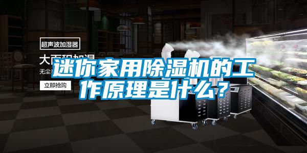 迷你家用除湿机的工作原理是什么？