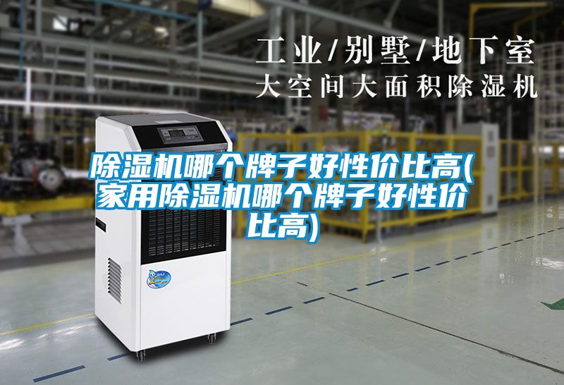 除湿机哪个牌子好性价比高(家用除湿机哪个牌子好性价比高)