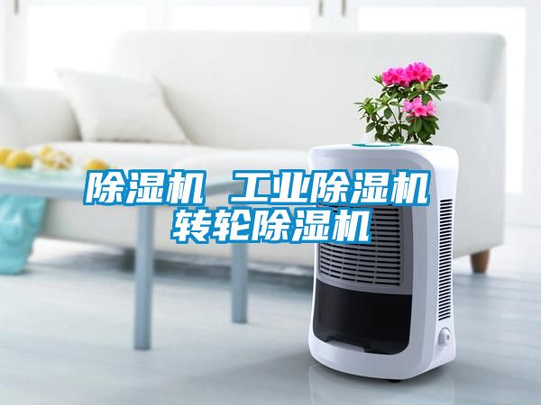 除湿机 工业除湿机 转轮除湿机