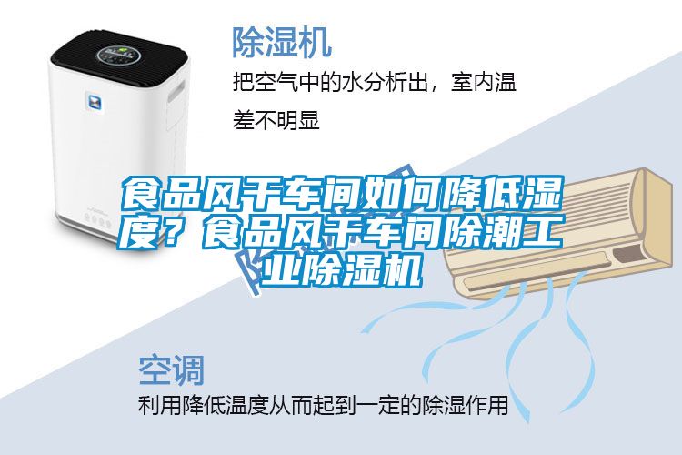 食品风干车间如何降低湿度？食品风干车间除潮工业除湿机