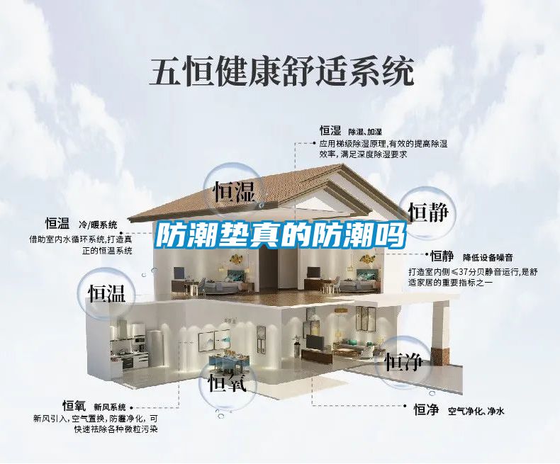 防潮垫真的防潮吗