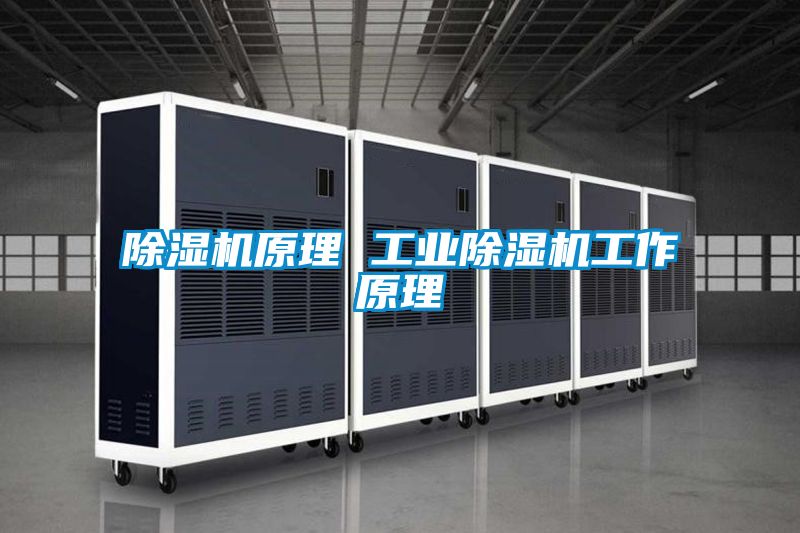 除湿机原理 工业除湿机工作原理