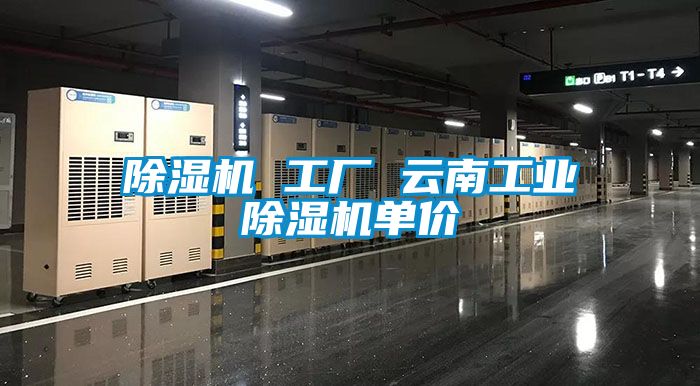 除湿机 工厂 云南工业除湿机单价