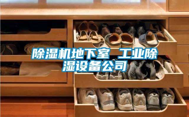 除湿机地下室 工业除湿设备公司