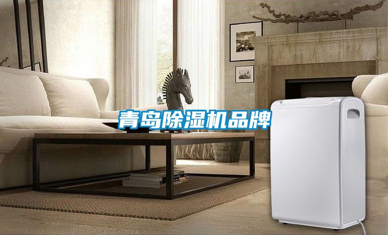 青岛除湿机品牌