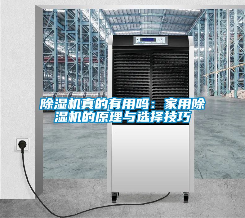 除湿机真的有用吗：家用除湿机的原理与选择技巧