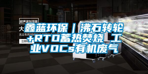 鑫蓝环保｜沸石转轮+RTO蓄热焚烧 工业VOCs有机废气