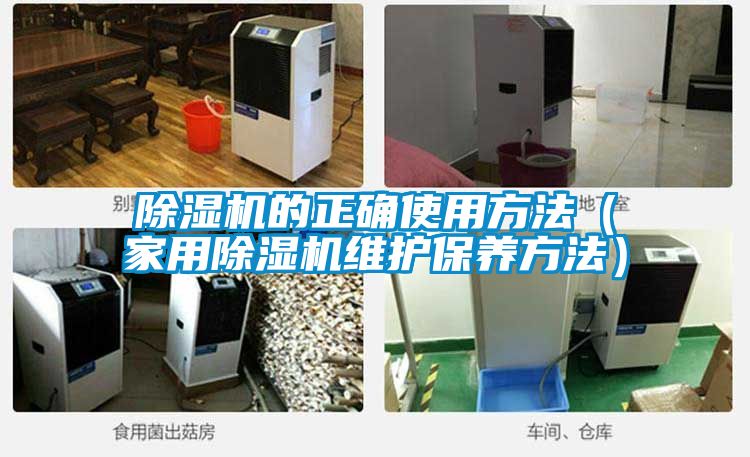 除湿机的正确使用方法（家用除湿机维护保养方法）