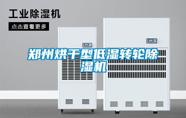 郑州烘干型低湿转轮除湿机