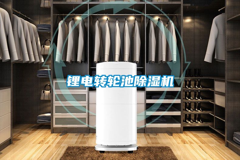 锂电转轮池除湿机