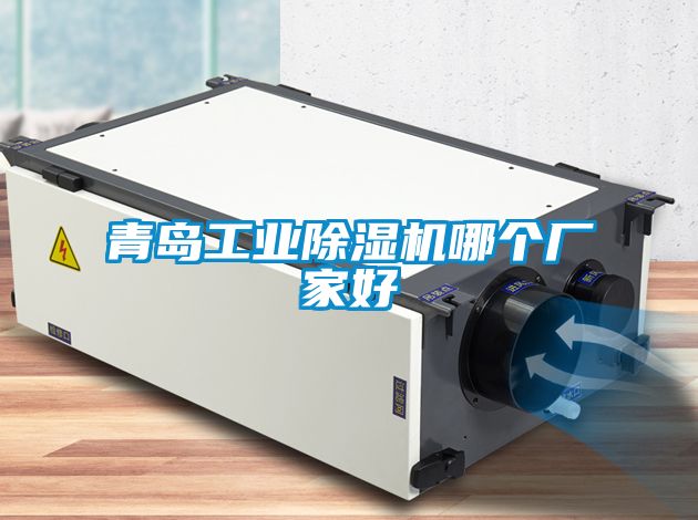青岛工业除湿机哪个厂家好