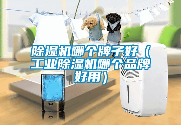 除湿机哪个牌子好（工业除湿机哪个品牌好用）