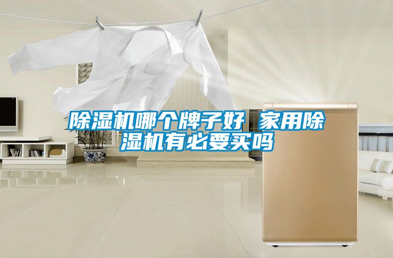 除湿机哪个牌子好 家用除湿机有必要买吗