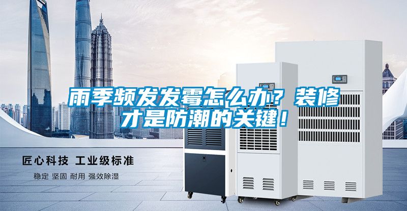 雨季频发发霉怎么办？装修才是防潮的关键！