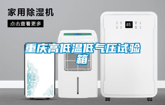 重庆高低温低气压试验箱