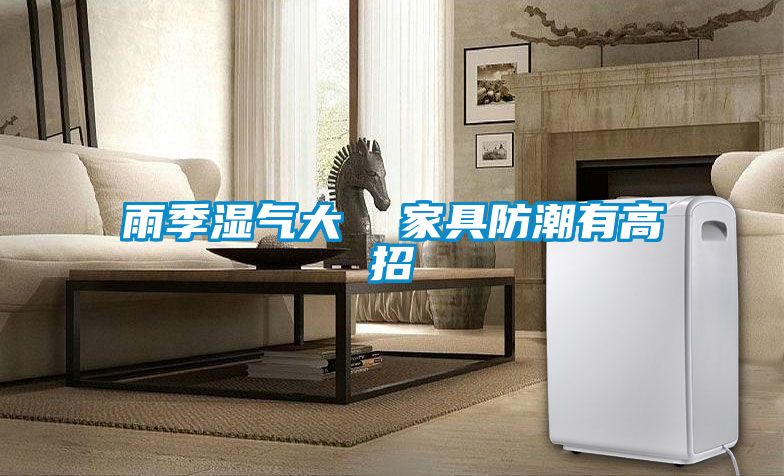 雨季湿气大  家具防潮有高招