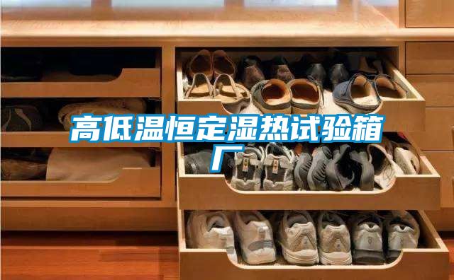 高低温恒定湿热试验箱厂