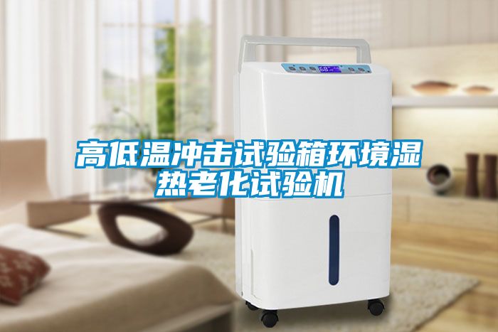 高低温冲击试验箱环境湿热老化试验机