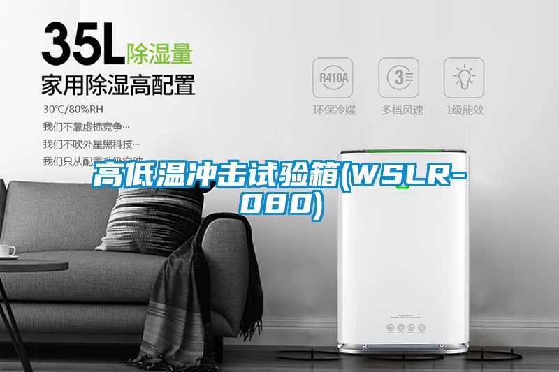 高低温冲击试验箱(WSLR-080)