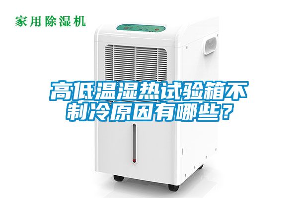 高低温湿热试验箱不制冷原因有哪些？