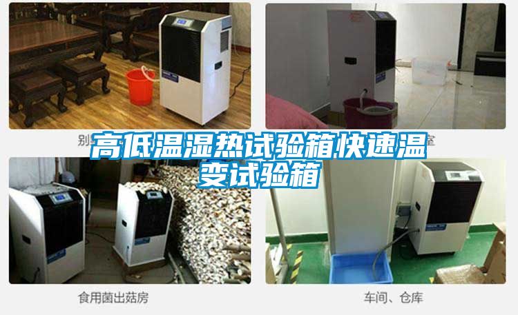 高低温湿热试验箱快速温变试验箱