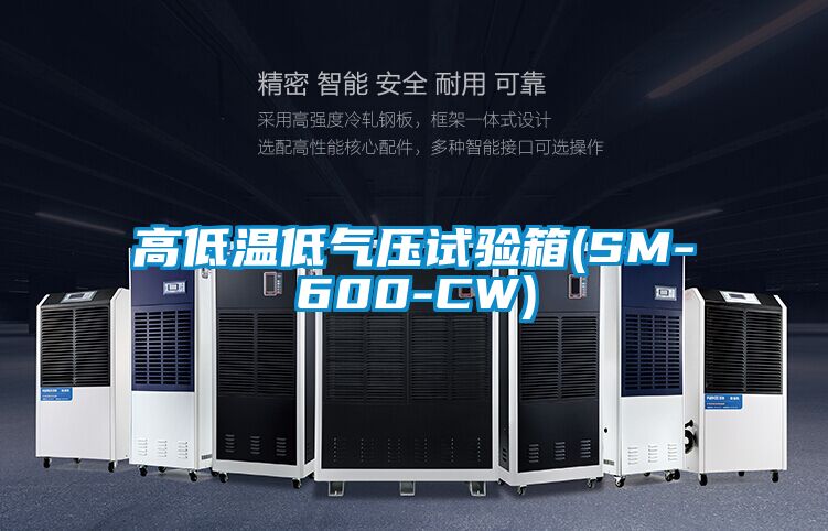 高低温低气压试验箱(SM-600-CW)