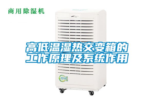 高低温湿热交变箱的工作原理及系统作用