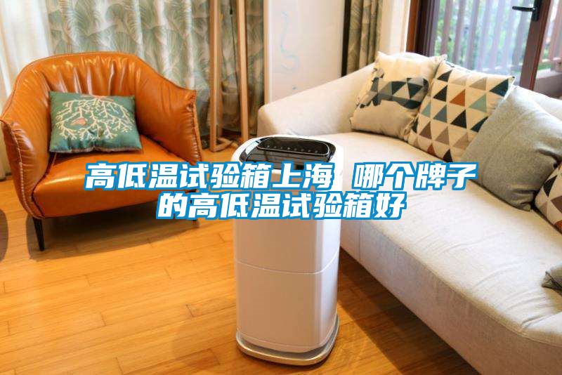 高低温试验箱上海 哪个牌子的高低温试验箱好