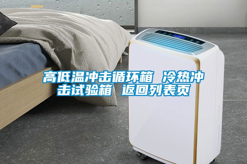 高低温冲击循环箱 冷热冲击试验箱 返回列表页