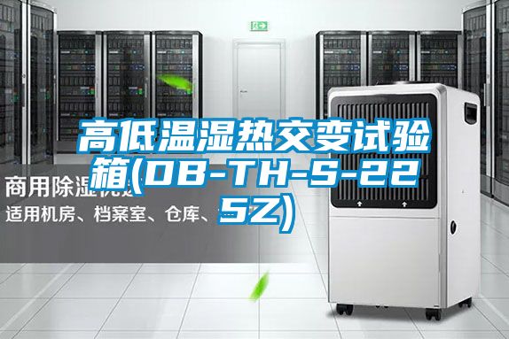 高低温湿热交变试验箱(DB-TH-S-225Z)