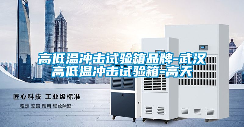 高低温冲击试验箱品牌-武汉高低温冲击试验箱-高天