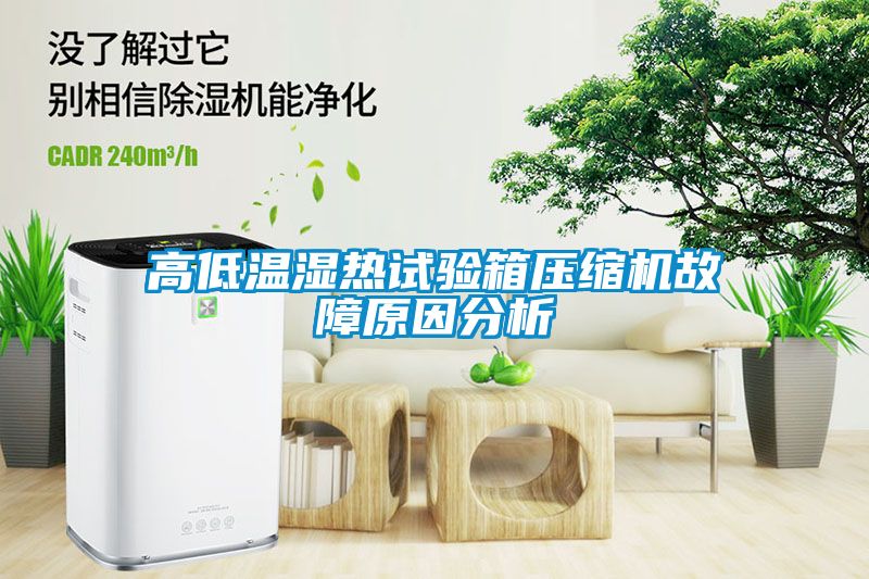 高低温湿热试验箱压缩机故障原因分析