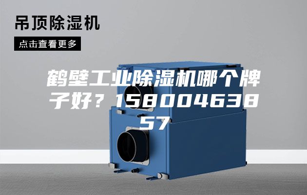 鹤壁工业除湿机哪个牌子好？15800463857